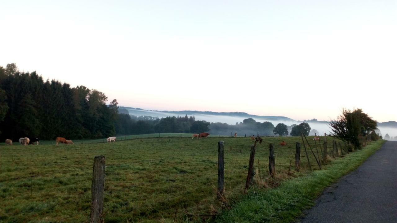 La Croisee Des Champs, Gite Entre Durbuy Et La Roche En Ardenne Érezée Eksteriør bilde